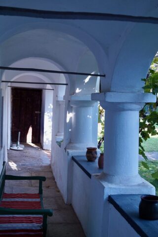 DSC09286-1363×2048