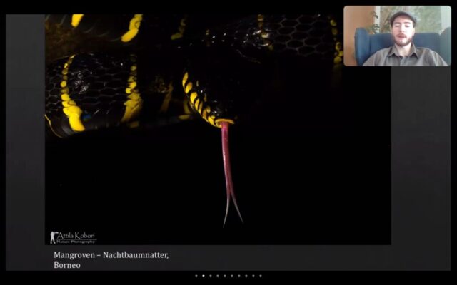 Screenshot_20210430-093718_Zoom