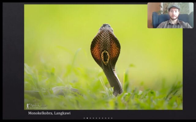 Screenshot_20210430-094128_Zoom
